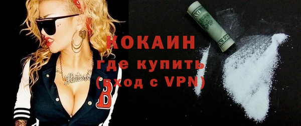 винт Губаха