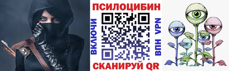 omg зеркало  Кимовск  Псилоцибиновые грибы Psilocybine cubensis 