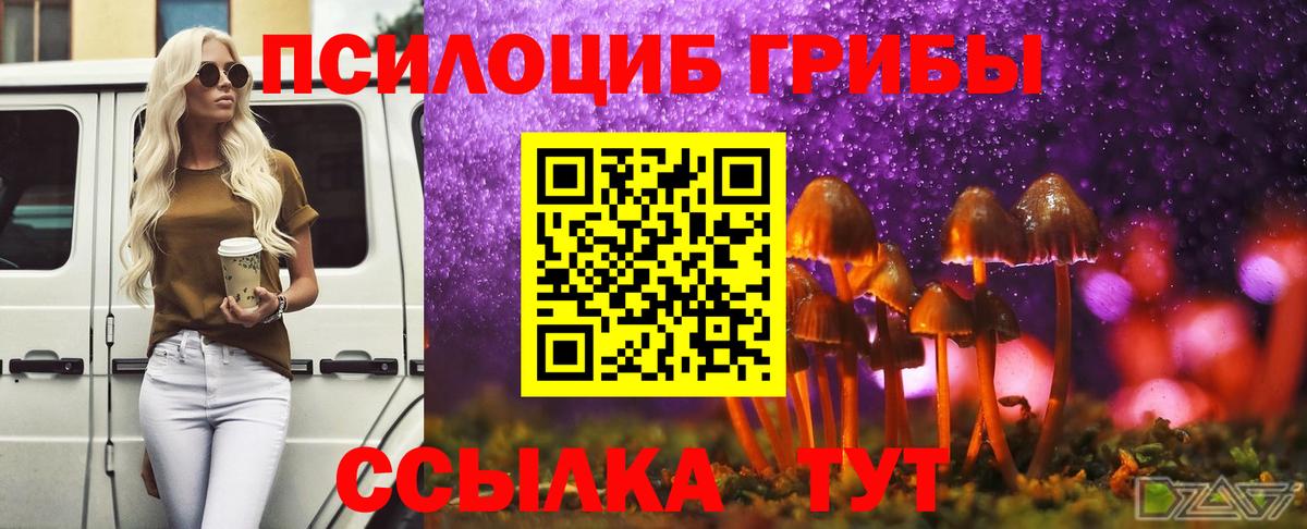 Псилоцибиновые грибы мицелий  Вход с VPN  Кимовск 